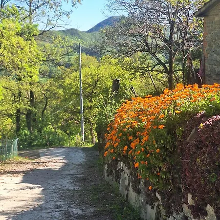 Relax Nella Natura, Con Vista In Toscana Appartamento Sestino